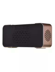 Portable Speaker Blaupunkt BLP2250W | Tienda24 Tienda24.eu