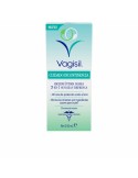 Gel Intimo Vagisil Incontinenza (250 ml) da Vagisil, Creme e gel per l'igiene intima - Ref: S05101761, Precio: 11,89 €, Descu...