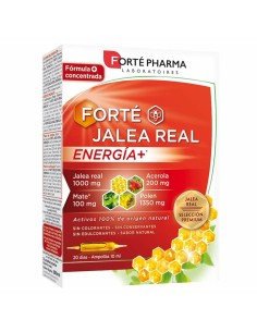 Geleia real Juanola Energy 28 Sobrescritos | Tienda24 Tienda24.eu