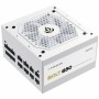 Fonte di Alimentazione Forgeon Bolt PSU 850W Gold Componibile 850 W 80 Plus Gold | Tienda24 - Global Online Shop Tienda24.eu