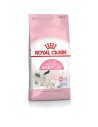 Aliments pour chat Royal Canin Mother & Babycat Adulte Oiseaux 4 Kg | Tienda24 Tienda24.eu