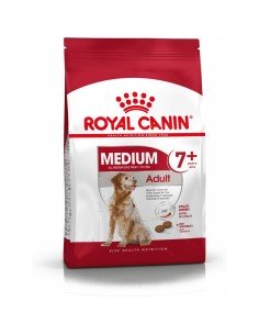 Penso Purina Pro Plan Medium & Large Adult Optidigest 12 kg | Tienda24 Tienda24.eu