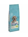 Nourriture Purina Dog Chow Puppy Large Petit/Junior Dinde 14 Kg | Tienda24 Tienda24.eu