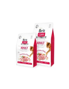 Comida para gato Farmina Vet Life Adulto 2 Kg | Tienda24 Tienda24.eu