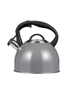 Kettle Severin 3469-000 Black Steel Stainless steel 2200 W 1 L | Tienda24 Tienda24.eu