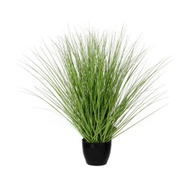 Decorative Plant DKD Home Decor Green PE (40 x 40 x 90 cm) | Tienda24 - Global Online Shop Tienda24.eu