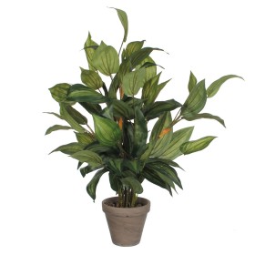 Planta Decorativa Mica Decorations Hosta Verde PVC (15,5 x 65 cm) de Mica Decorations, Plantas - Ref: S7901879, Precio: 36,08...