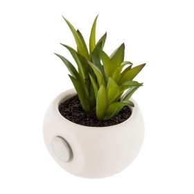 Plante décorative Vert Plastique 16 x 22 x 16 cm | Tienda24 - Global Online Shop Tienda24.eu