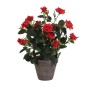 Dekorationspflanze Mica Decorations Rosal aus Keramik PVC | Tienda24 - Global Online Shop Tienda24.eu