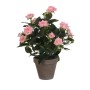 Dekorationspflanze Mica Decorations Rosal aus Keramik PVC | Tienda24 - Global Online Shop Tienda24.eu