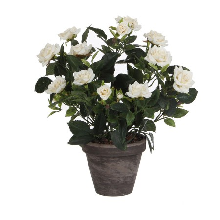 Plante décorative Mica Decorations Rosal Céramique PVC | Tienda24 - Global Online Shop Tienda24.eu