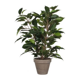 Plante décorative Mica Decorations 40 x 30 cm Céramique Vert PVC Ficus de Mica Decorations, Plantes artificielles - Réf : S79...