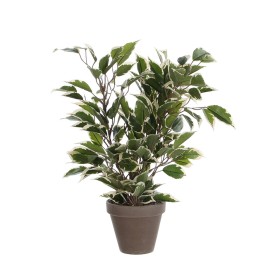 Plante décorative Mica Decorations 4 x 11,5 cm Céramique PVC Ficus de Mica Decorations, Plantes artificielles - Réf : S790301...