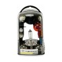 Set Dunlop H7 Lampadine e Faretti di ricambio 11 Pezzi | Tienda24 - Global Online Shop Tienda24.eu