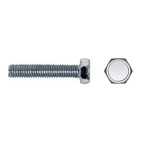 Schraubenkasten CELO Ø 5 x 45 mm Metallschraube 250 Stück Verzinkt | Tienda24 - Global Online Shop Tienda24.eu