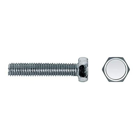 Caixa de parafusos CELO M6 x 25 mm 6 x 25 mm Rosca Métrica 250 Unidades Zincado | Tienda24 - Global Online Shop Tienda24.eu