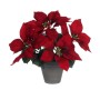 Planta Decorativa Mica Decorations Vermelho PVC | Tienda24 - Global Online Shop Tienda24.eu