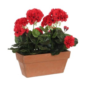 Decorative Plant Home ESPRIT Plastic | Tienda24 - Global Online Shop Tienda24.eu