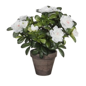 Decorative Plant Grey With support Metal Plastic (14 x 30 x 14 cm) | Tienda24 - Global Online Shop Tienda24.eu