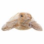 Figura Decorativa Alexandra House Living Blanco Natural Madera Vidrio Tortuga 8 x 20 x 31 cm de Alexandra House Living, Colec...