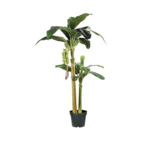 Planta Decorativa Mica Decorations (115 x 180 cm) de Mica Decorations, Plantas - Ref: S7908489, Preço: 207,30 €, Desconto: %