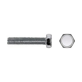 Boîte à vis CELO Ø 5 x 45 mm Vis à métaux 250 Unités zingage de CELO, Vis - Réf : S7909110, Prix : 25,92 €, Remise : %