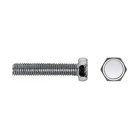 Schraubenkasten CELO Ø 5 x 45 mm Metallschraube 250 Stück Verzinkt | Tienda24 - Global Online Shop Tienda24.eu