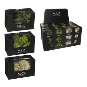 Planta Decorativa Mica Decorations 50 g Musgo de Mica Decorations, Plantas - Ref: S7909237, Preço: 5,24 €, Desconto: %