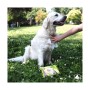 Wet Wipes for Pets GILL'S XL 30 x 20 cm 40 Units by GILL'S, Hygienic wipes - Ref: S7909535, Price: 5,65 €, Discount: %