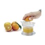 Electric Juicer Metaltex Citrus 300 ml | Tienda24 - Global Online Shop Tienda24.eu