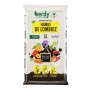 Organic Humus Verdy 5 L | Tienda24 - Global Online Shop Tienda24.eu