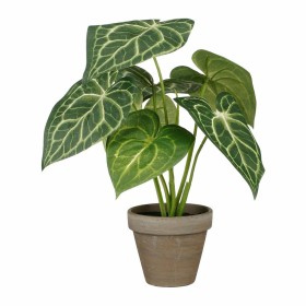 Pianta Decorativa Mica Decorations Caladium Ø 21 x 28 cm Artificiale di Mica Decorations, Piante artificiali - Rif: S7923238,...