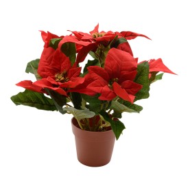 Planta Decorativa Lifetime Rojo Flor de Pascua Ø 27 cm de Lifetime, Navidad - Ref: S7924588, Precio: 10,39 €, Descuento: %