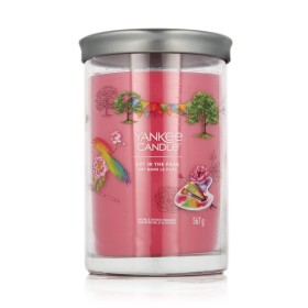 Bougie Parfumée Yankee Candle Art In The Park 567 g de Yankee Candle, Bougies - Réf : S8311779, Prix : 55,97 €, Remise : %