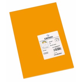 Card Iris 29,7 x 42 cm Coral (50 Units) | Tienda24 - Global Online Shop Tienda24.eu