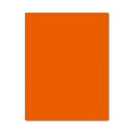 Pappe Iris Orangerot 50 x 65 cm | Tienda24 - Global Online Shop Tienda24.eu