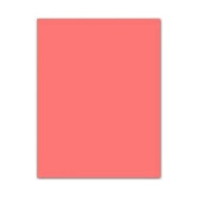 Card Iris 29,7 x 42 cm Coral (50 Units) | Tienda24 - Global Online Shop Tienda24.eu