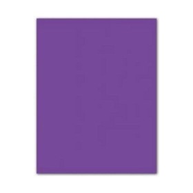 Pappe Iris Schwarz 50 x 65 cm | Tienda24 - Global Online Shop Tienda24.eu