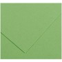 Cartoncini Iris Apple Verde 50 x 65 cm | Tienda24 - Global Online Shop Tienda24.eu