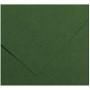 Cartoncini Iris Amazon Verde 50 x 65 cm | Tienda24 - Global Online Shop Tienda24.eu