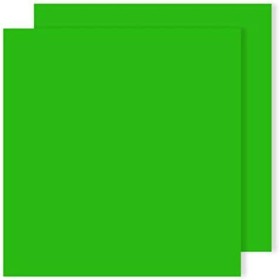 Cards Iris Apple Green 50 x 65 cm | Tienda24 - Global Online Shop Tienda24.eu