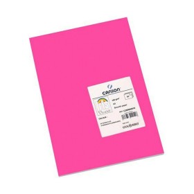 Card Iris 29,7 x 42 cm Coral (50 Units) | Tienda24 - Global Online Shop Tienda24.eu