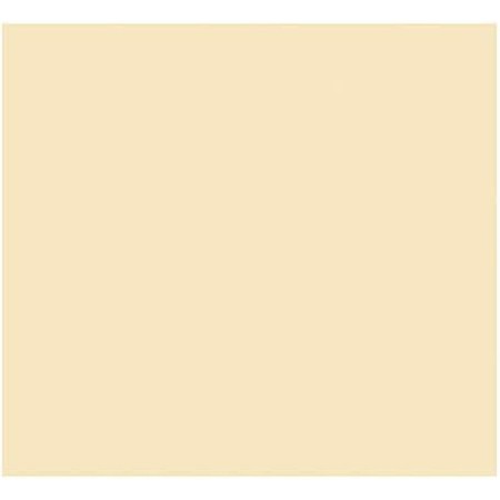 Card Iris Beige 50 x 65 cm | Tienda24 - Global Online Shop Tienda24.eu