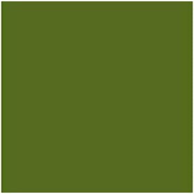 Cartulina Iris Verde militar 50 x 65 cm de Iris, Papel - Ref: S8410543, Precio: 16,35 €, Descuento: %