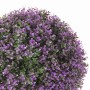 Pianta Decorativa  Sfera Lavanda 30 x 30 x 30 cm | Tienda24 - Global Online Shop Tienda24.eu