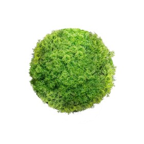 Plante décorative Ballon Mousse 20 x 20 x 20 cm de BigBuy Garden, Plantes artificielles - Réf : S8700521, Prix : 8,81 €, Remi...