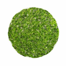 Decorative Plant  Ball Moss 20 x 20 x 20 cm | Tienda24 - Global Online Shop Tienda24.eu