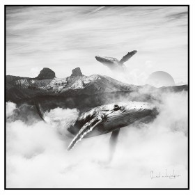 Canvas 80 x 2,5 x 80 cm Whale by BigBuy Home, Prints on Canvas - Ref: S8800059, Price: 58,52 €, Discount: %