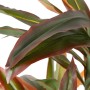 Plante décorative Dracaena Marron Vert PVC 140 cm | Tienda24 - Global Online Shop Tienda24.eu