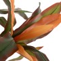 Plante décorative Dracaena Marron Vert PVC 140 cm | Tienda24 - Global Online Shop Tienda24.eu